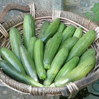 Zucchine genovesi 1 kg