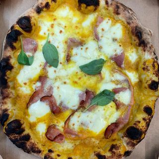 Zuccona