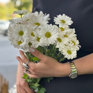 Ромашки белая