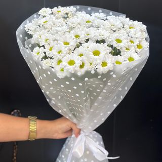 Хризантемы