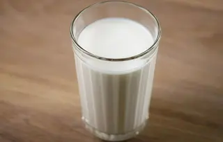 Jogurt