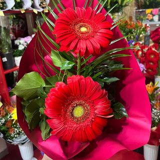 Buket 2 gerbera