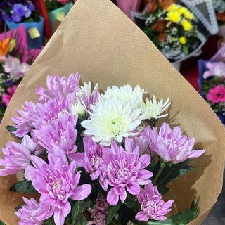 Buket 3 margarete, natur papir