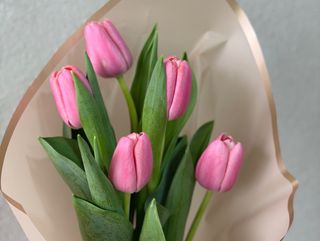 Buket 5 Tulipana mix boje