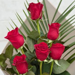 Buket 6 crvenih ruža