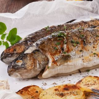 Pastrmka sa roštilja