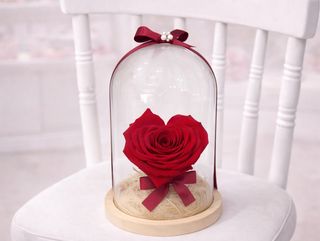 Dehidrirana ruza u obliku srca