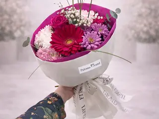 Gerbera