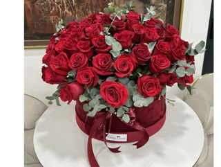 101 u plišanom boxu