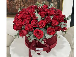 101 u plišanom boxu