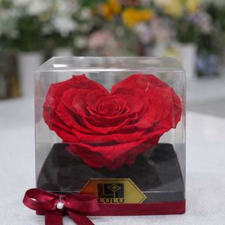 Lux dehidrirana ruža