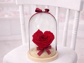 Vjenca ruza u obliku srca