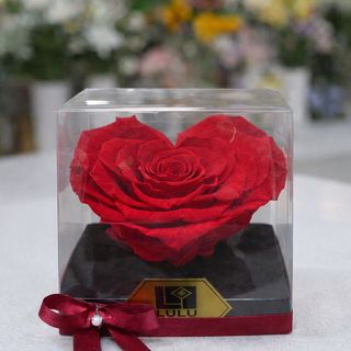 Dehidrirana ruža u obliku srca