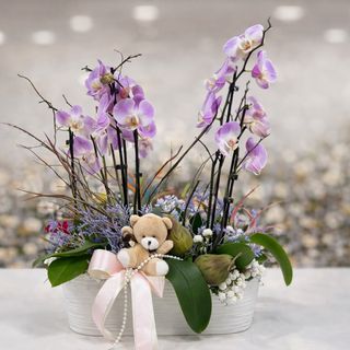 Bajka u vrtu od orhideja