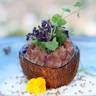 Tartar od tune