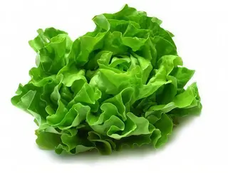 Salata