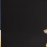 Standard burger + Crispy file burger + Pomfrit L