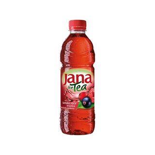 Jana ledeni čaj šumsko voće 0,5