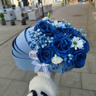 Plava baby kolijevka