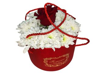 G.box ruza i bijele margarete