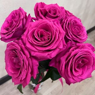 7 pink roses