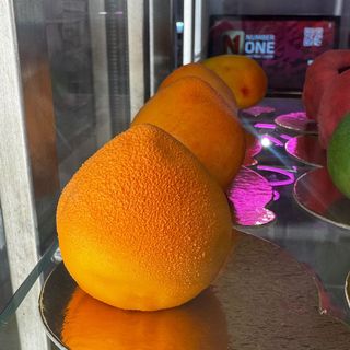 Realisticni kolac MARELICA