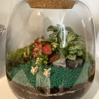 Skriveni vrt terarij