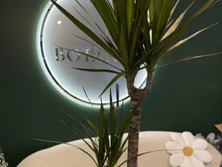 Dracena