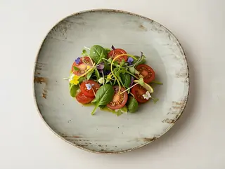 Miješana salata