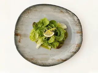 Zelena salata