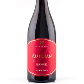 Пино Ноар Есен Четири Сезона