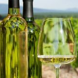 ВРАЧАНСКИ МИСКЕТ TOCHKA, ВИНАРНА ТИПЧЕНИЦА, Дунавска Равнина, България