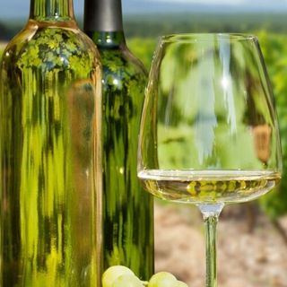 ТАМЯНКА, ИЗБА МАНАСТИРА, Тракийскa Низина, България