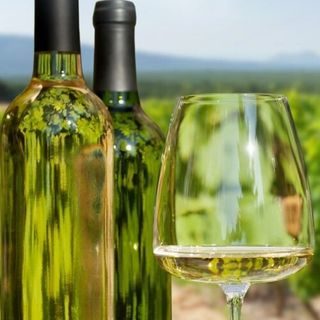 СОВИНЬОН БЛАН, ИЗБА ВЕЛИС ВИНЯРДС, Тракийска Низина, България