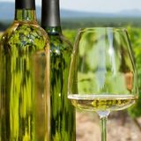 СОВИНЬОН БЛАН И ПИНО ГРИДЖО, ИЗБА ВИА ВИНЕРА, Тракийска Низина, България