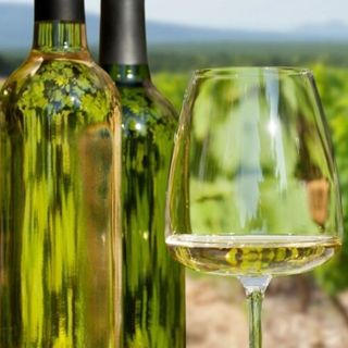 БЯЛ МАВРУД, ИЗБА ДЮС УАЙНЪРИ, Тракийска Низина, България