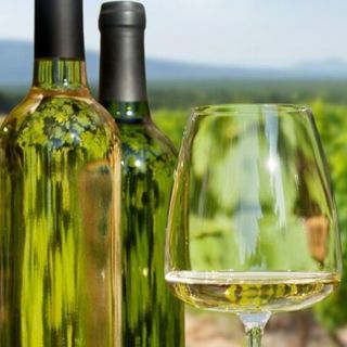 РИЗЛИНГ, ИЗБА ВЕЛИС ВИНЯРДС, Тракийска Низина, България