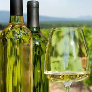 СОВИНЬОН БЛАН, ВИЛА ОВЧАРОВО, Дунавска Равнина, България