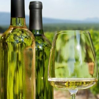 ШАРДОНЕ, ВИОНИЕ И ТАМЯНКА, БРАТАНОВ, Тракийска низина, България