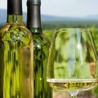 ТАМЯНКА, ЛИНАР, С. КОЛАРОВО