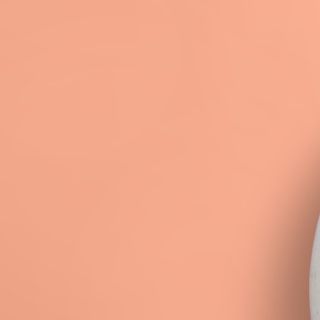 Пиле с моцарела 300гр.