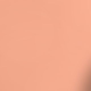 Бургер Блек Ангъс 400гр.