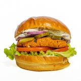 Бургер V for Vegetarian (270г)