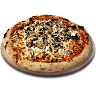 Мъшрум Гоут (45см.)