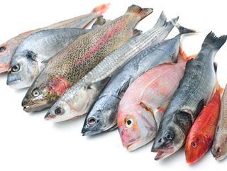 Салата Цезар с калмари