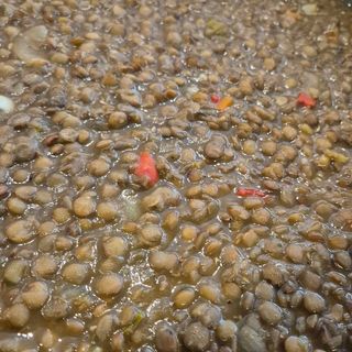 Леща яхния (400г)