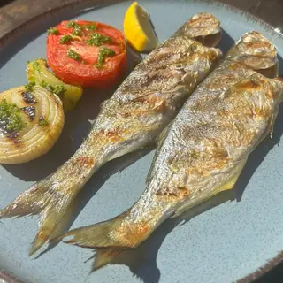 ЧЕРНОМОРСКИ БАРБУН