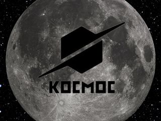 ПИЛЕШКО ФИЛЕ НА ПЛОЧА