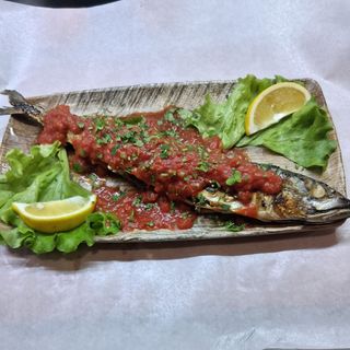 Скумрия плакия