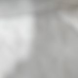 ПЪРЖЕН ТЕЛЕШКИ ДРОБ С ГАРНИТУРА